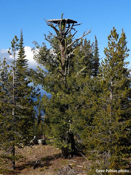 Eagle Nest in 2016