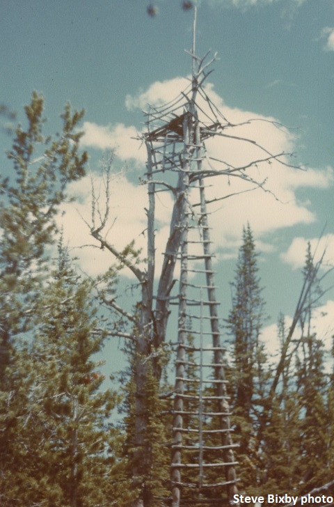 Haystack Mtn. in 1979