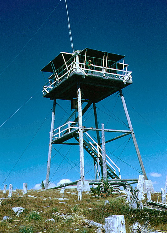 McCormick Ridge in 1953