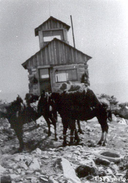 Sheep Hill in 1928