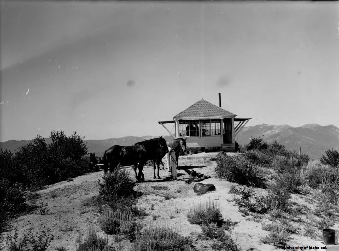 Williams Peak in 1955