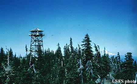Mt. Defiance in 1955