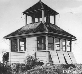 Tallowbox in 1940