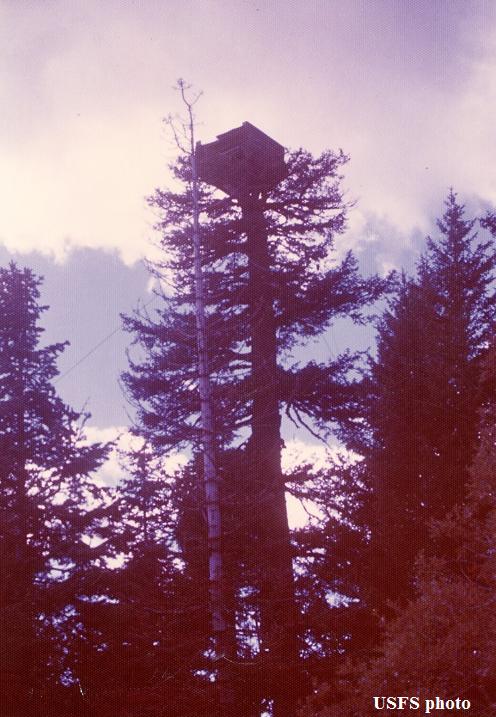 East Wolf Mtn. in 1978