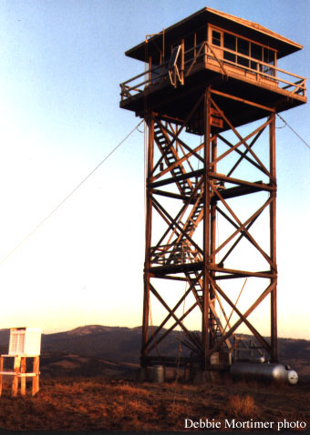 Pine Mtn. in 1984
