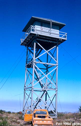 Signal Peak in 1967